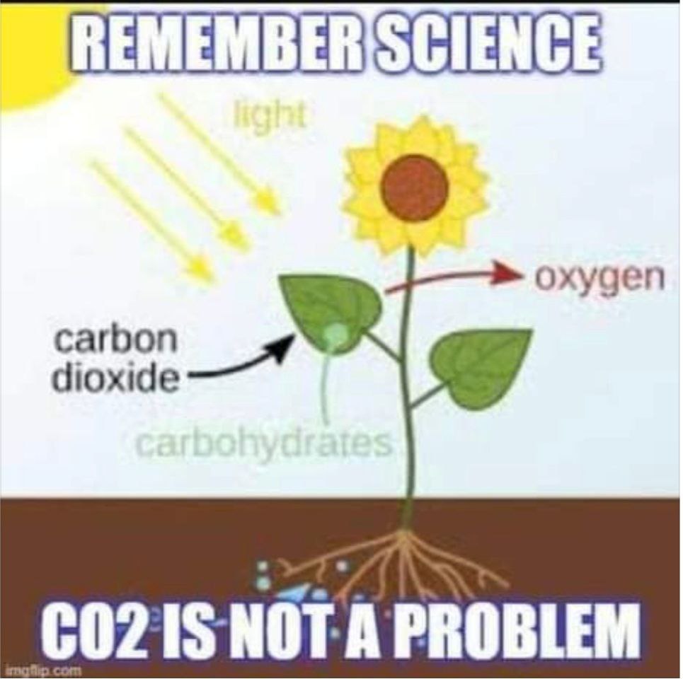 remember science
Lights + carbon dioxide = oxygen
CO2 IS NOT A PROBLEM